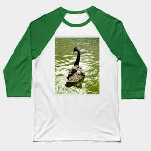 Black Swan Green Water Baseball T-Shirt